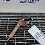 Injector PEUGEOT 406, 2.0 HDI