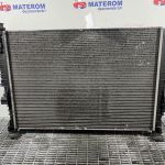 Radiator motor
