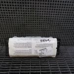 Capsula aer pasager