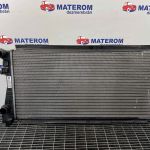 Radiator motor