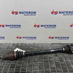 Planetara spate dreapta