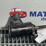 Motoras