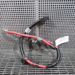 Borna acumulator