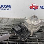 Motoras cutie transfer
