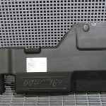 Capac motor
