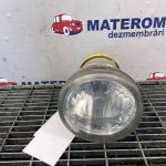 Halogen dreapta