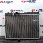 Radiator motor