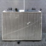 Radiator motor