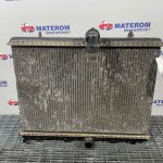 Radiator motor