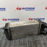 Radiator intercooler