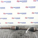 Planetara fata dreapta