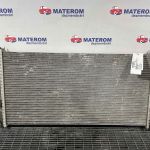 Radiator motor