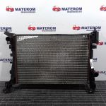 Radiator motor