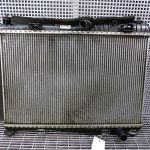 Radiator motor