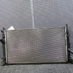 Radiator motor