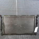 Radiator motor