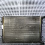 Radiator motor