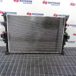 Radiator motor