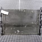 Radiator motor