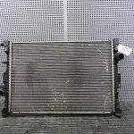 Radiator motor