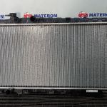 Radiator motor