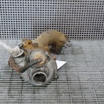 Turbosuflanta
