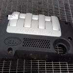 Capac motor