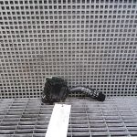 Bloc stergator