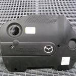 Capac motor