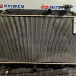 Radiator motor