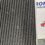 Radiator motor