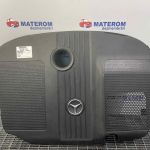 Capac motor