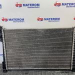 Radiator motor