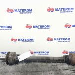 Planetara spate dreapta