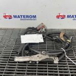 Borna acumulator