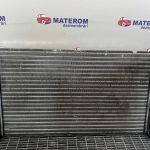 Radiator motor