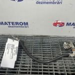 Borna acumulator