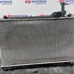 Radiator motor