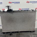 Radiator motor