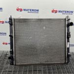 Radiator motor