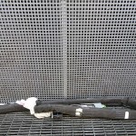Capsula aer pavilion stanga