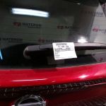 Motoras stergator haion