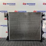 Radiator motor
