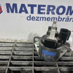 Releu