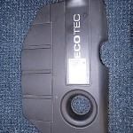 Capac motor