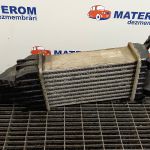 Radiator intercooler