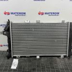 Radiator motor