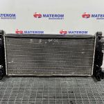 Radiator motor