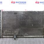 Radiator motor