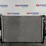 Radiator motor